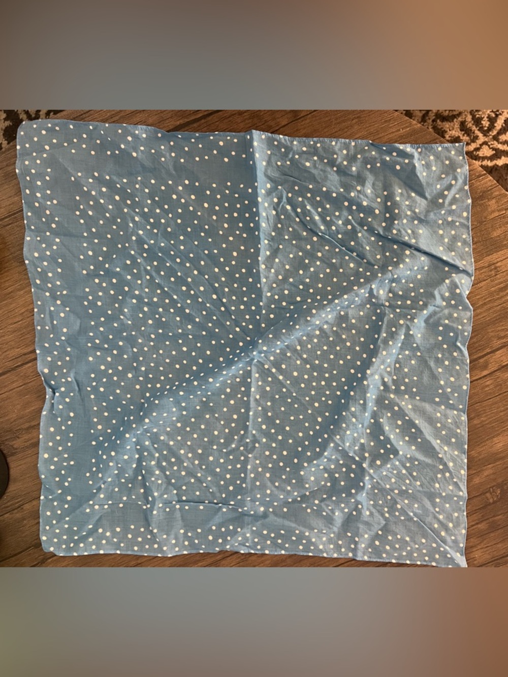 White Polka Dot / Baby Blue Scarf (NWOT)